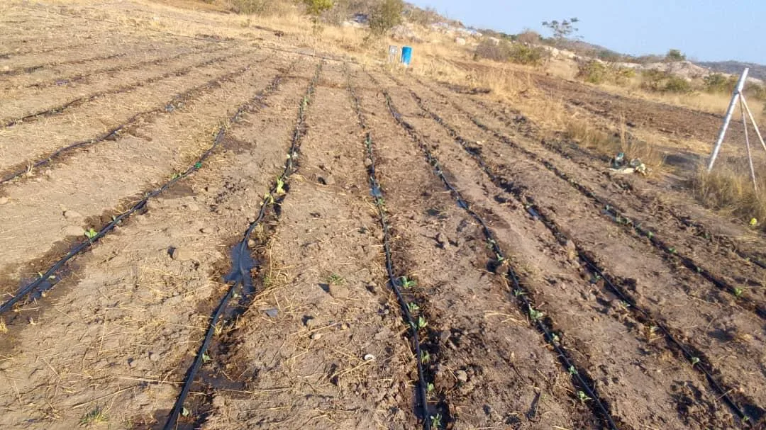 Solar Pump Agriculture